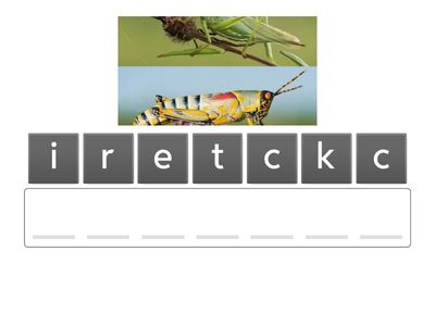 Spelling for English