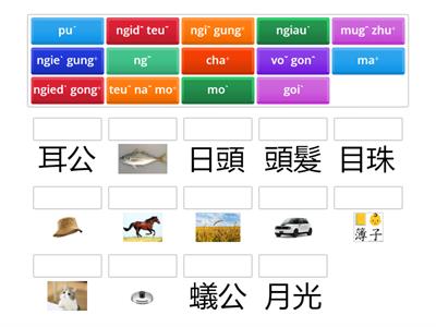 大埔腔客語音標練習01