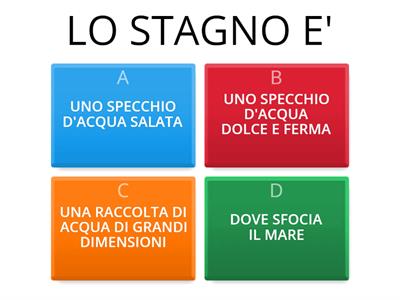 STAGNO 2