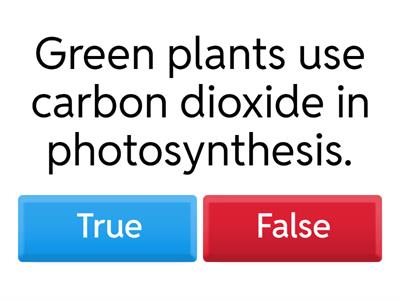 Carbon cycle quiz