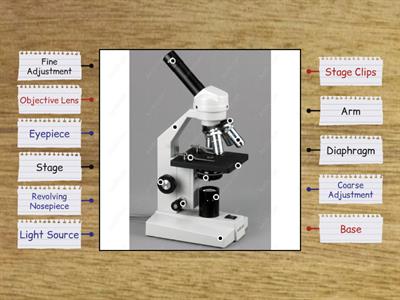 Parts of a Microscope