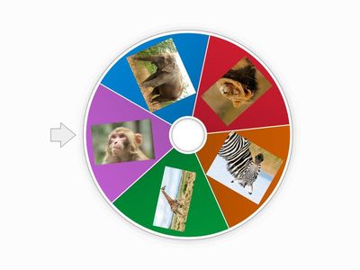 Wild Animals Wheel
