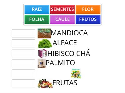 PARTES DAS PLANTAS COMESTÍVEIS 