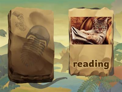 Verbs Super minds Starter