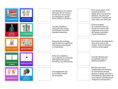 ENCUENTRA LA PAREJA PERFECTA!
