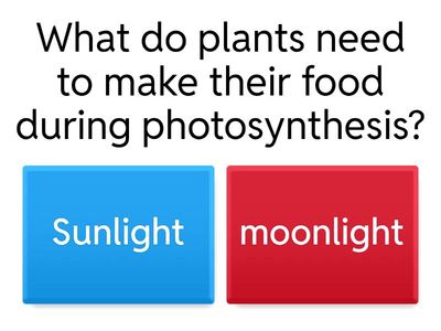 Photosynthesis