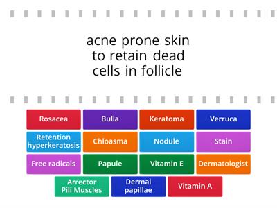 #8 Ch 7 and Ch 8 Skin Disorders and Diseases