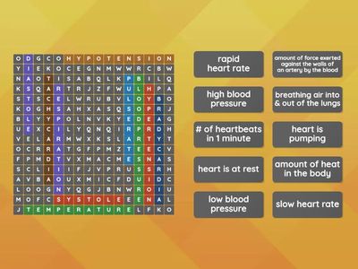 Ch 34: Vital Signs Wordsearch