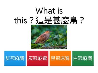 114(上)三甲動物的運動無標題103