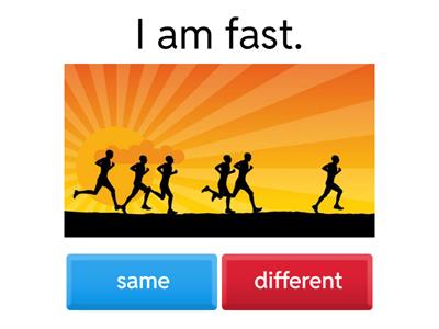 Same or Different (game, run)