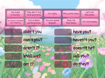 A1+ A2 - Question Tags