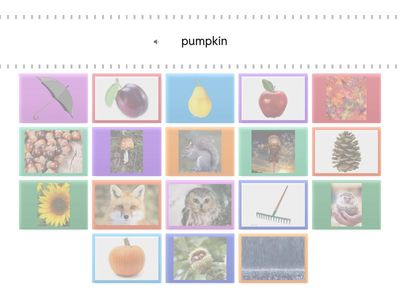 CBE BOW OTL Engels functioneren Autumn