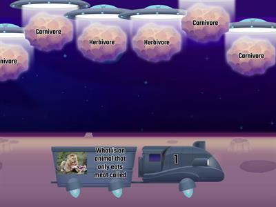 FFynone House: food chain revision KS2 + Y7/8