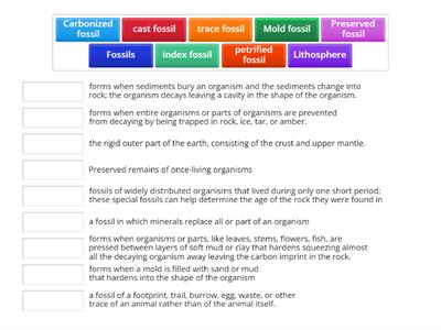 ESS.8.1.1. Fossils and Relative Dating Part I