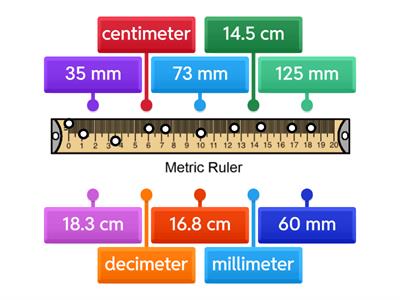 Parts of a Metric Ruler