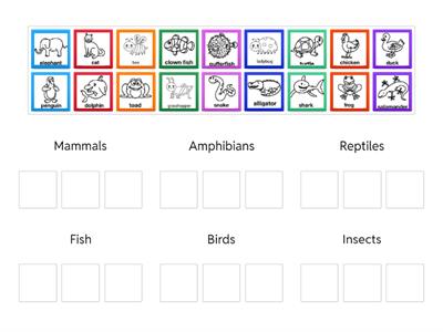 Animals Group Classification