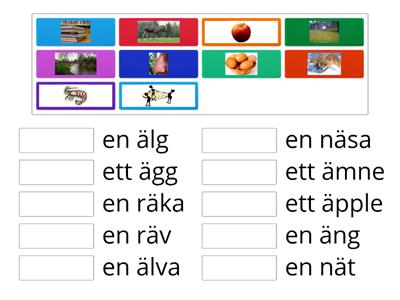 Svenska: ord med "ä", substantiv