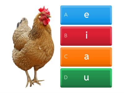 Medial short vowel choices