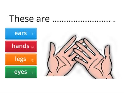 Grade 2 Unit 2 Review