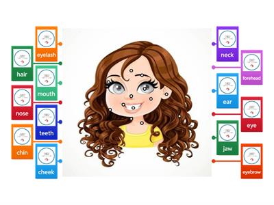 FACE PARTS - Chris' Escuela de Idiomas