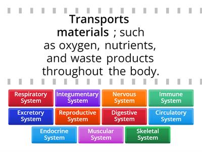 Human Body System 2.0