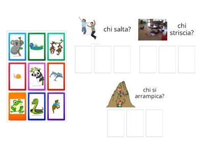 schemi motori di base