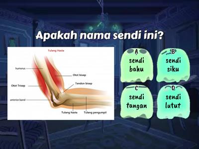 SAINS TAHUN 5 : SISTEM RANGKA MANUSIA