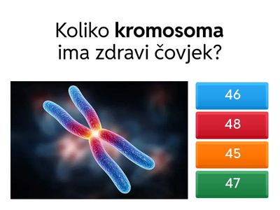 Kako nastaju naši potomci