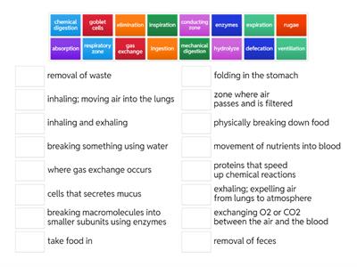 Digestion, Respiration and Urinary 