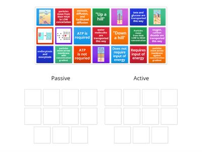 Passive vs Active Transport