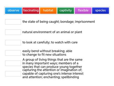 Module 1 End Vocabulary