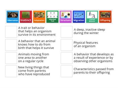 Adaptations, Traits, and Behaviors