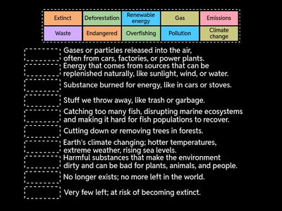 Match each vocabulary word to its corresponding description