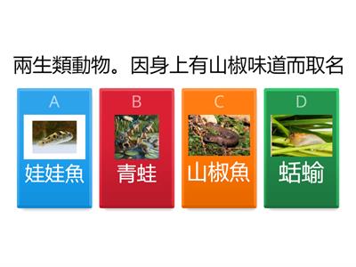 112康軒G3-2 L09 臺灣的山椒魚_圖詞理解