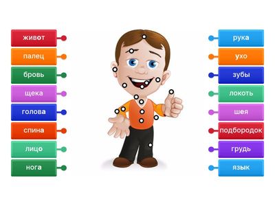 Части тела 9 кл (РКИ)