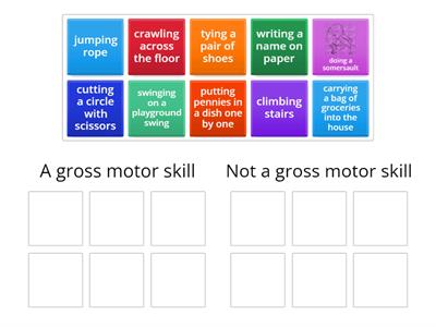 Identify the gross motor skill 