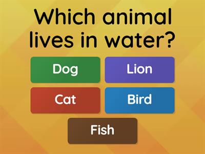 English A1 Level Quiz