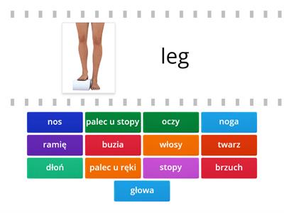 BODY PARTS