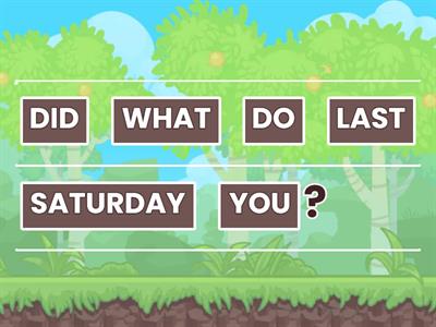 SIMPLE PAST TENSE WH-QUESTIONS