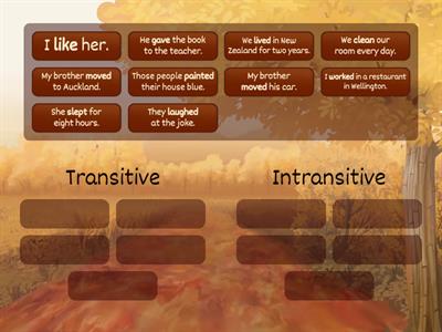 Transitive or intransitive verbs
