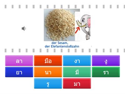 Lektion 1_คำศัพท์ 1 (เสียง)