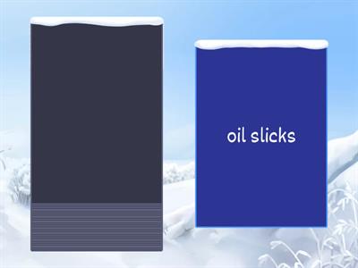 ЕГЭ Environment (3)