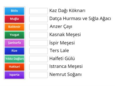 Coğrafya Endemik Türler