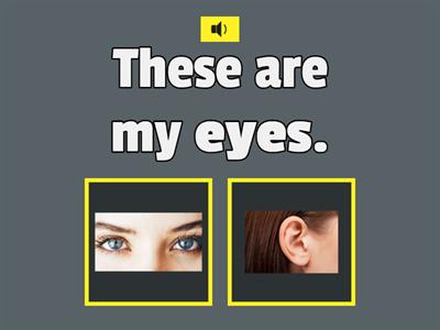 (3 years old) Review Unit 5