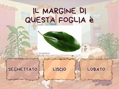 IL MARGINE delle foglie