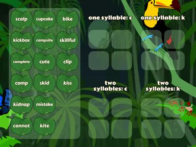 Reading Rev week 8 C or K? Cat/Kite Rule syllable sort