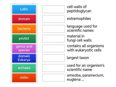 Classification Match Up