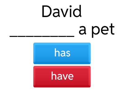 Has or Have Quiz