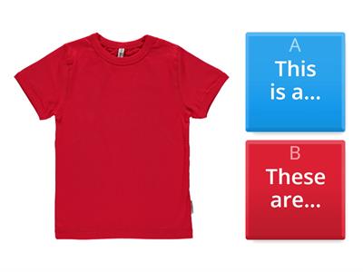 Clothes (This is/These are) Quiz