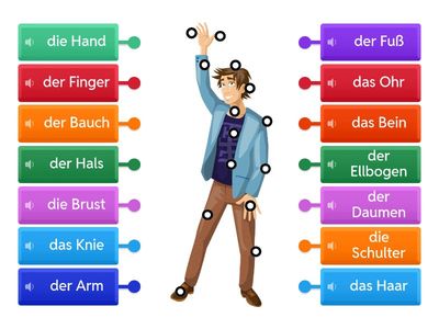 Mein Körper mit Audio